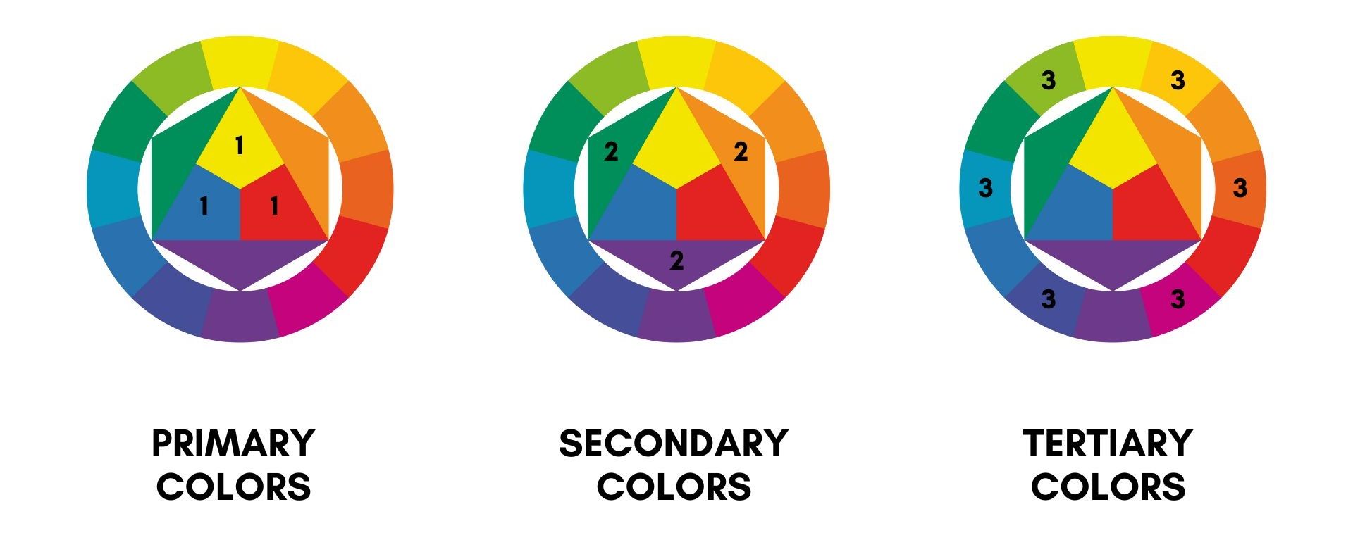 Best Analogous Colors Examples for Stunning Designs