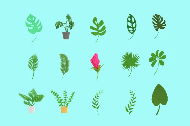 29 Botanical Elements 3d pack of graphics and illustrations