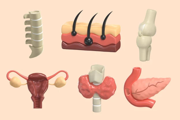 20 Human Organs 3d pack of graphics and illustrations