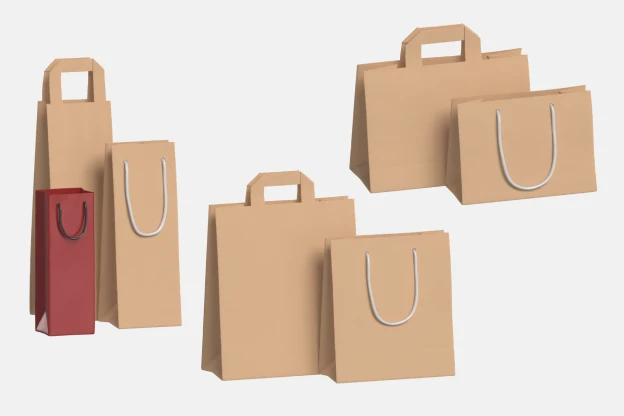 7 Paper Bag With Handle 3d pack of graphics and illustrations