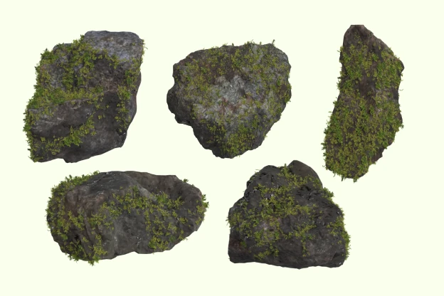5 Moss Rock 3d pack of graphics and illustrations