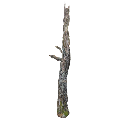 Pointy Dead Wood Birch Trunk With Branches 3D Model 3D Graphic