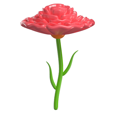 3D Carnation Ruffle Model Elegant Ruffled Blossom Of Delight 3D Graphic