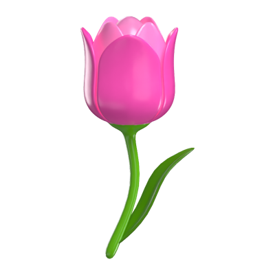 3D Tulip Pink Natural Beauty 3D Graphic