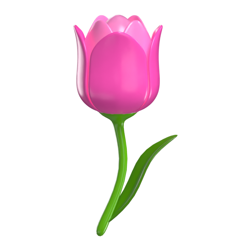 3D Tulip Pink Natural Beauty 3D Graphic