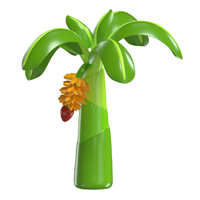 3D Banana Tree Model Tropical Icon Of Lush Abundance 3D Graphic