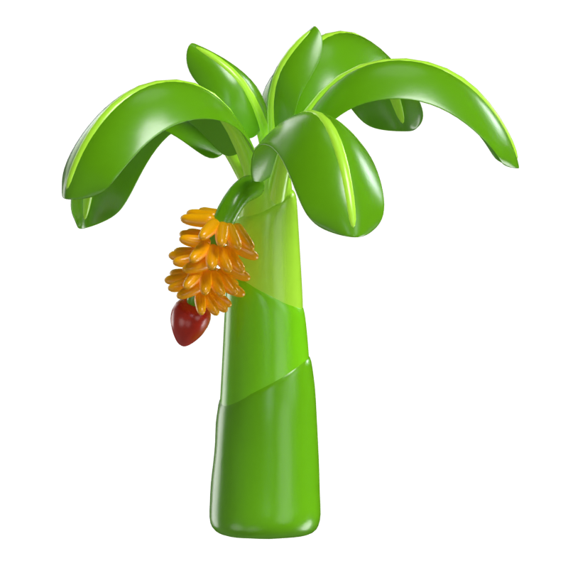 3D Banana Tree Model Icono Tropical De Exuberante Abundancia 3D Graphic