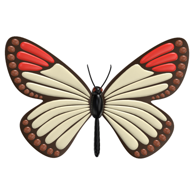 3d red tip butterfly model graceful fluttering beauty (modelo de borboleta de ponta vermelha em 3d) 3D Graphic