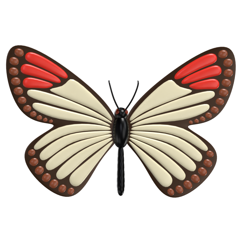 Modelo 3D de mariposa de punta roja Belleza agraciada que revolotea 3D Graphic