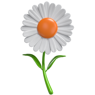 3D Daisy Model Simple Elegance Of Nature's Bloom 3D Graphic