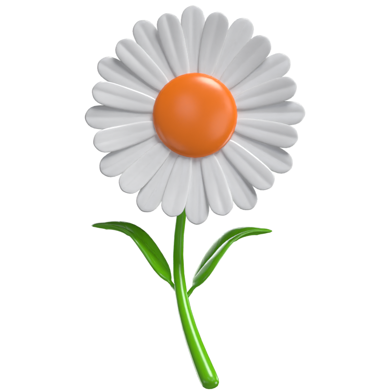 3D Daisy Model Simple Elegance Of Nature's Bloom 3D Graphic