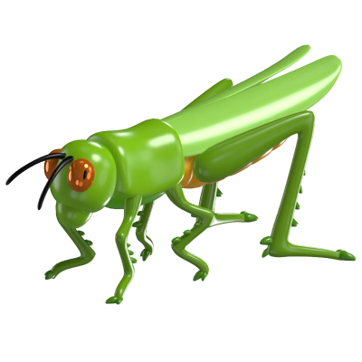 3D Grasshopper Model Agile Insect Of The Grasslands 3D Graphic