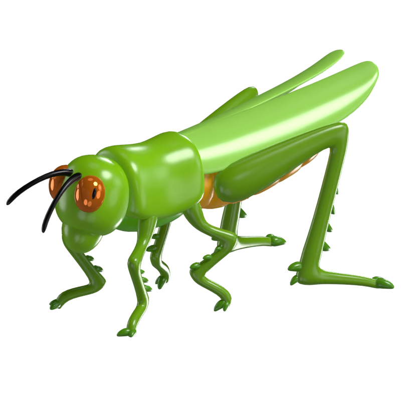 3D Grasshopper Model Agile Insect Of The Grasslands 3D Graphic