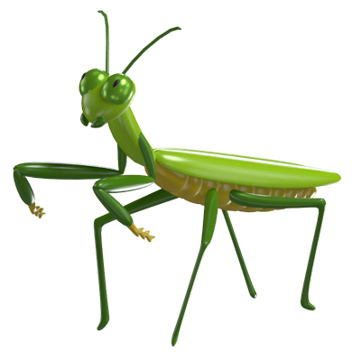 3D Mantis Model Graceful Predator Of The Insect World 3D Graphic
