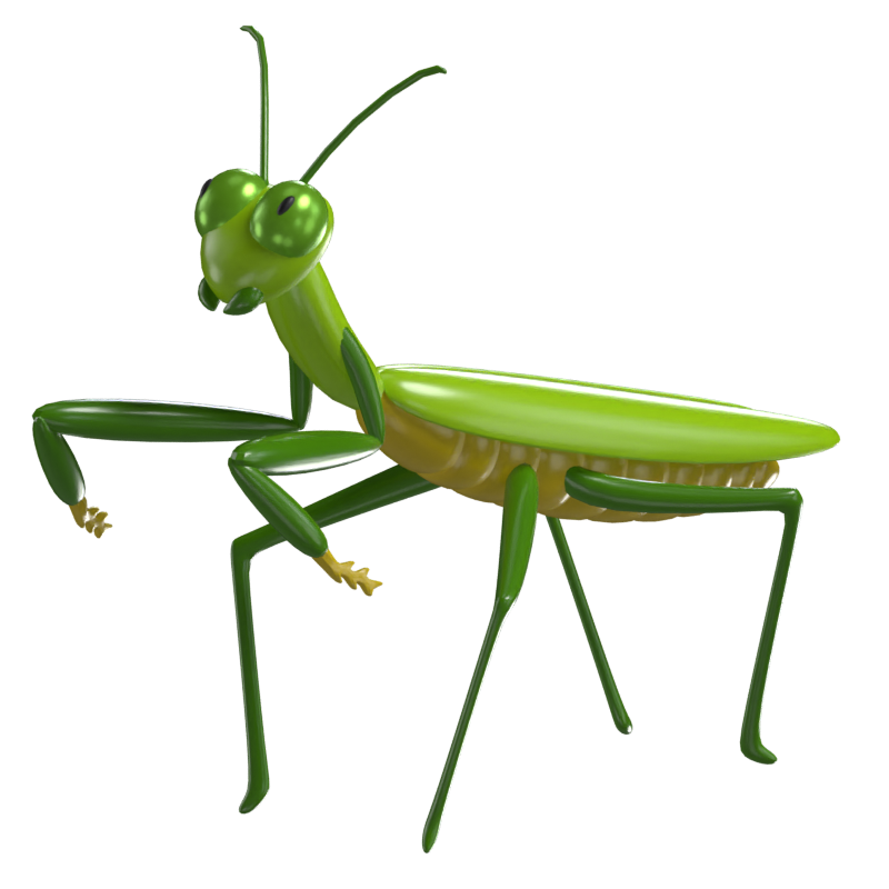 3D Mantis Modell Anmutiges Raubtier der Insektenwelt 3D Graphic