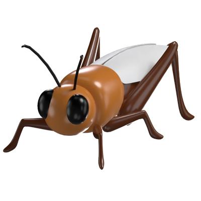 3D Cricket Model Melodic Insect Of The Night 3D Graphic