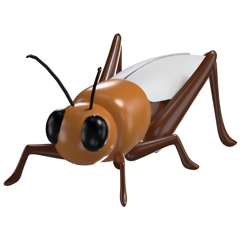 3D Cricket Model Melodic Insect Of The Night 3D Graphic