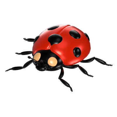 3D Ladybug Model Delightful Harbinger Of Luck And Joy 3D Graphic