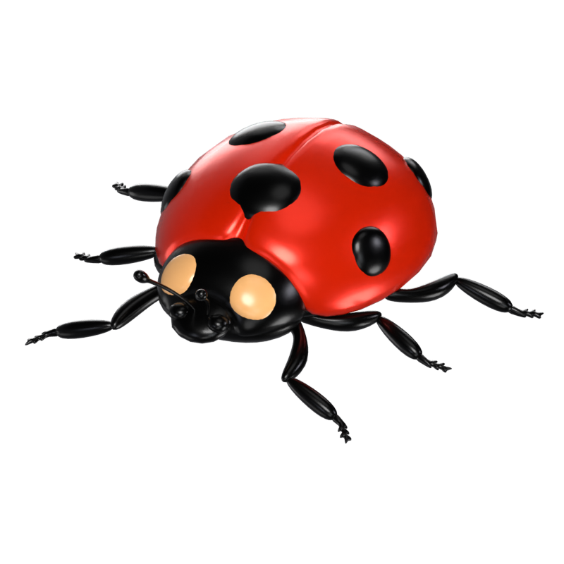 3D Ladybug Model Delightful Harbinger Of Luck And Joy 3D Graphic