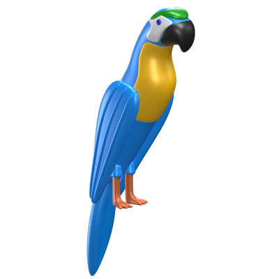 Macaw Bird 3D Icon Model 3D Graphic