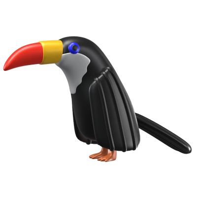 3D Toucan Bird Icon Model 3D Graphic