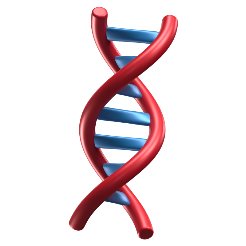 DNA 3D-Symbol-Modell 3D Graphic