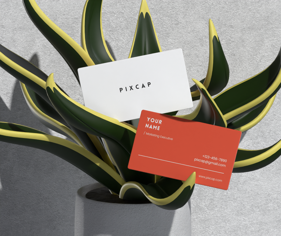 3D Static Mockup Stationery Business Cards In Dracaena Houseplant