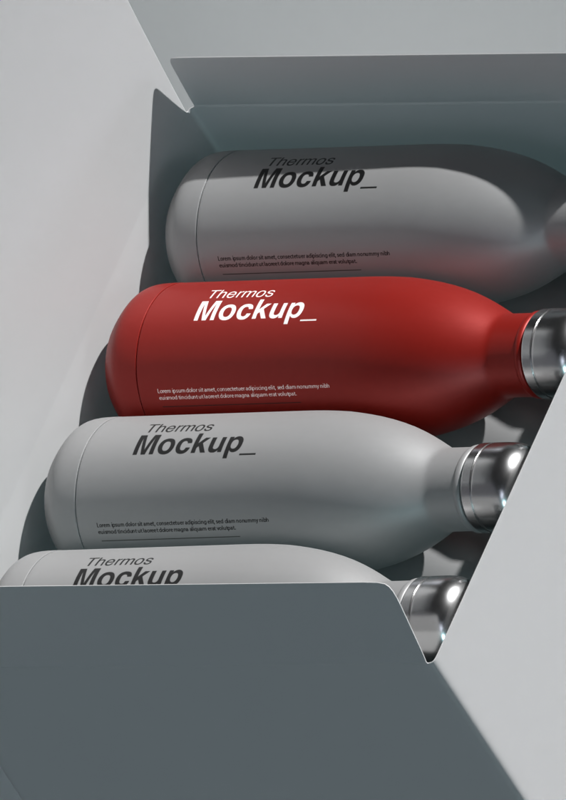 Thermoses In Box 3D Mockup