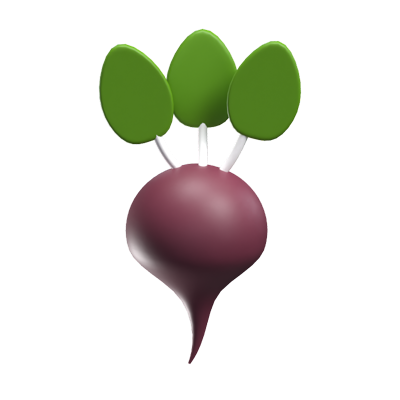 Beet 3D Model 3D Graphic