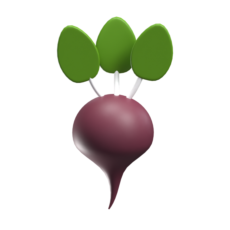 Beet 3D Model 3D Graphic