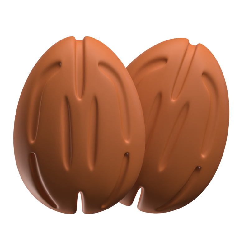 Two Almonds Icon Model 3D Graphic