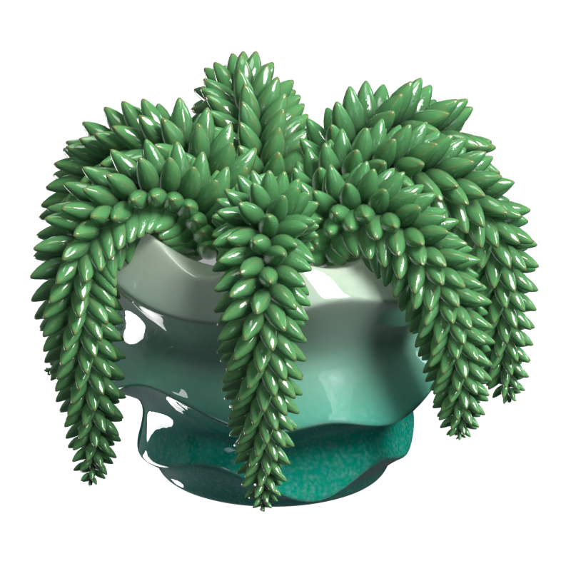 Modelo 3D do Sedum Morganianum