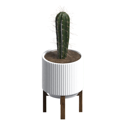 cactus modelo 3d 3D Graphic