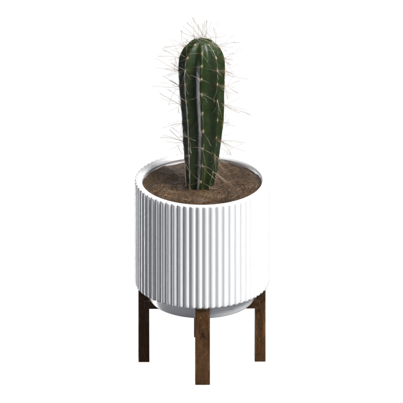 Cactus Modelo 3D