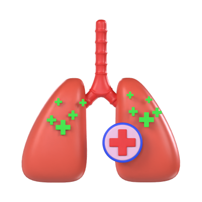 pulmones modelo 3d 3D Graphic