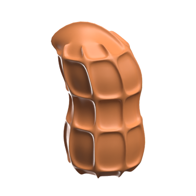 Peanut 3D Icon Model 3D Graphic