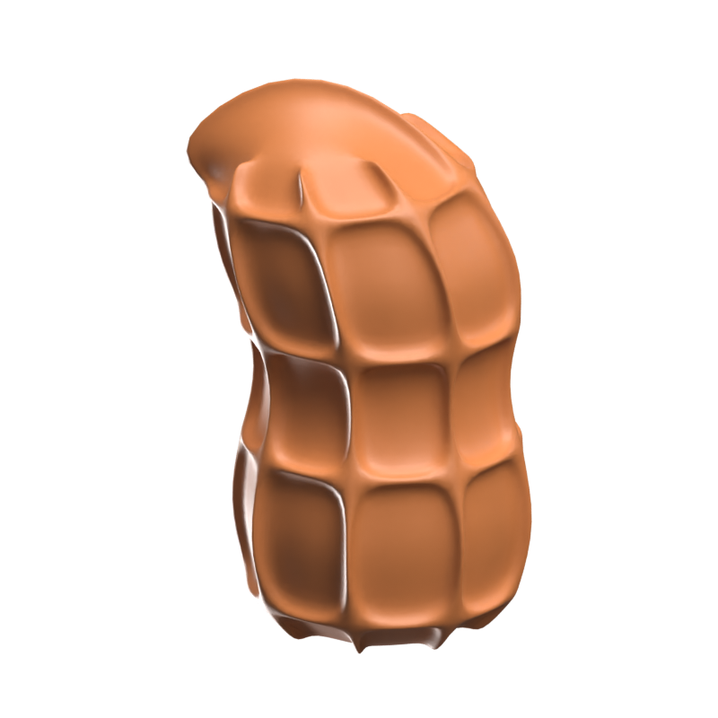 Peanut 3D Icon Model