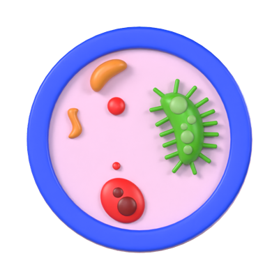 Bacteria 3D Model 3D Graphic