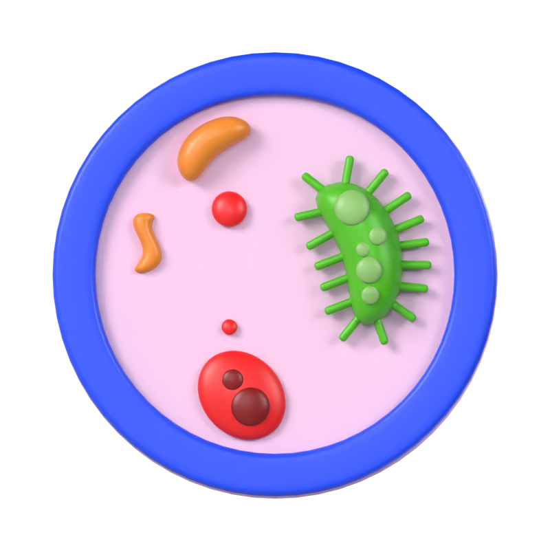 Modelo 3D de bacterias