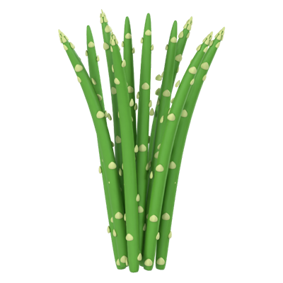 spargel 3d modell 3D Graphic