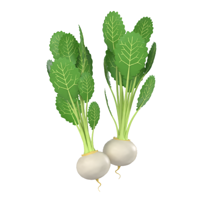 Turnip 3D Model 3D Graphic