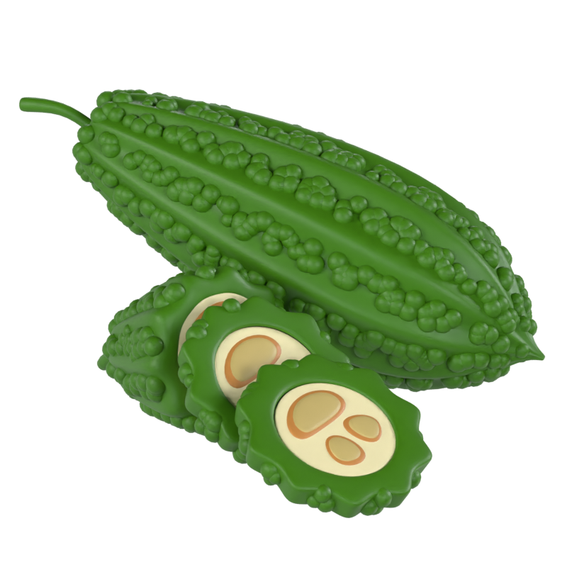 Bitter Gourd 3D Model