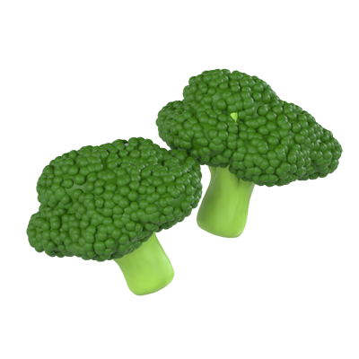 Broccoli 3D Model 3D Graphic
