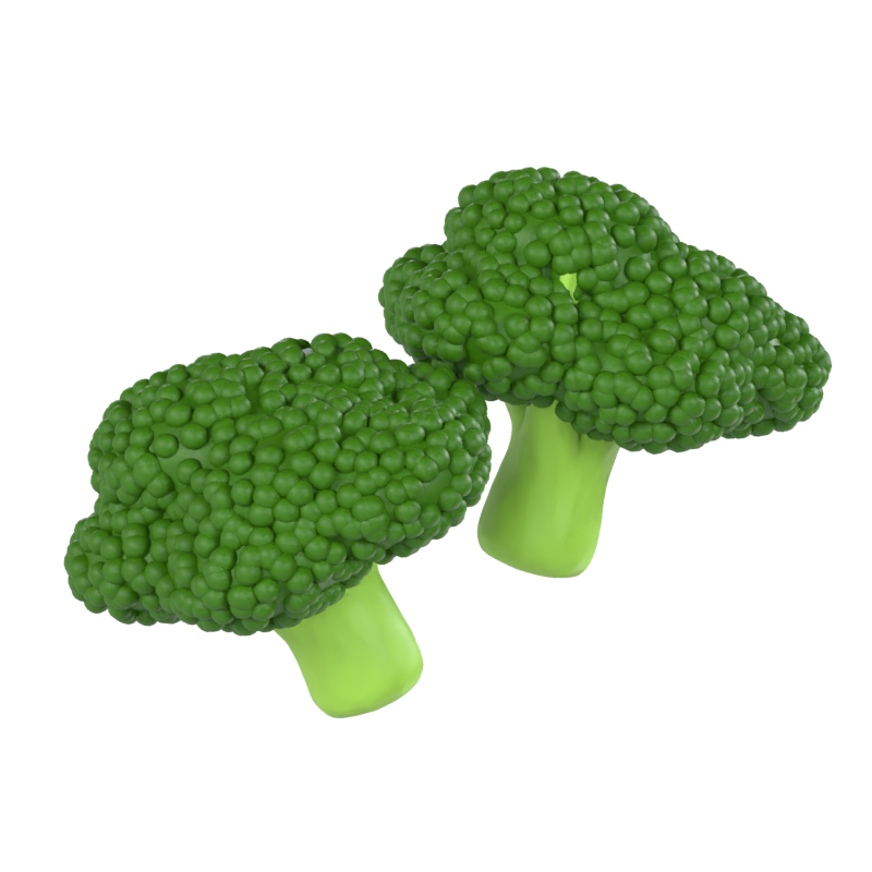 Broccoli 3D Model 3D Graphic