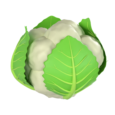 Cauliflower 3D Model 3D Graphic