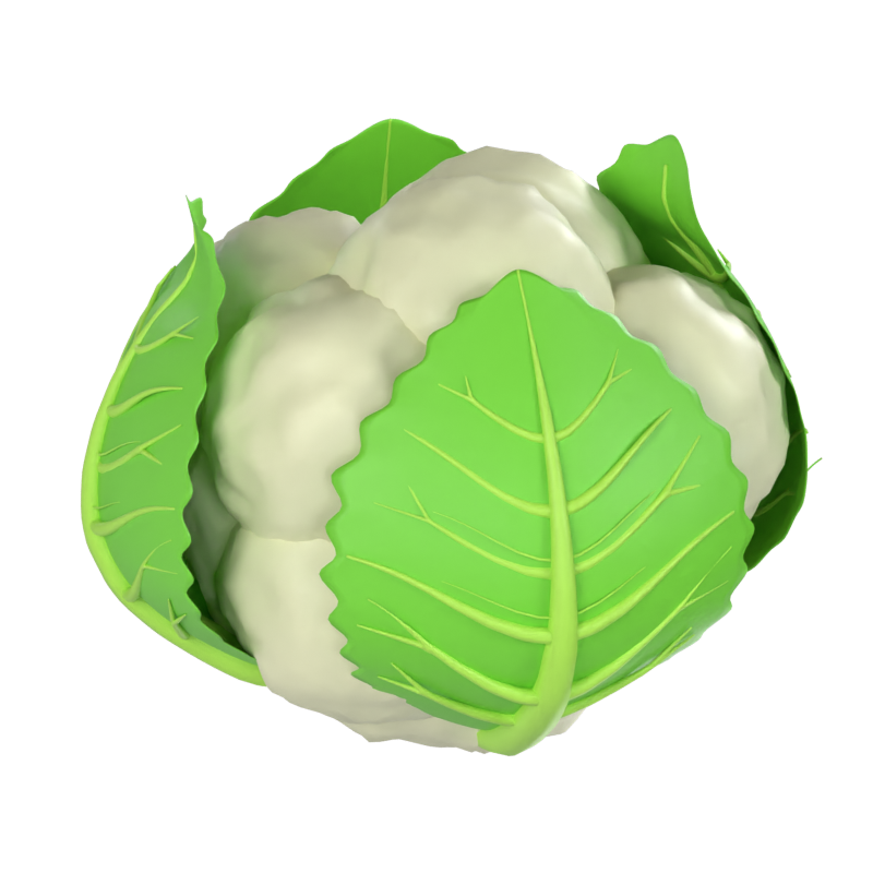 Blumenkohl 3D Modell 3D Graphic