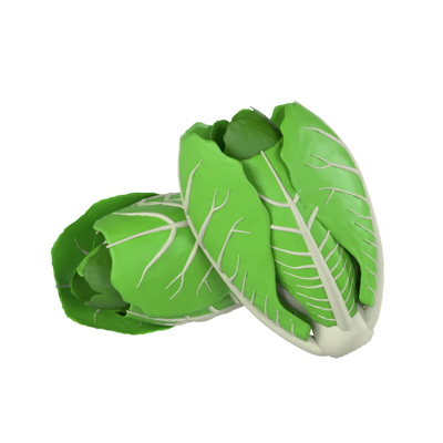 Chinese Cabbage 3D Model 3D Graphic