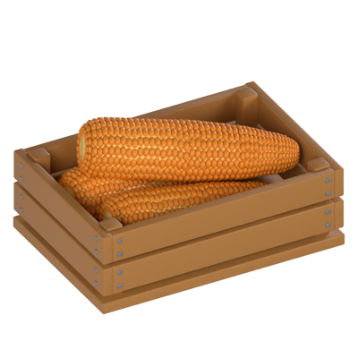 Corn 3D Model 3D Graphic