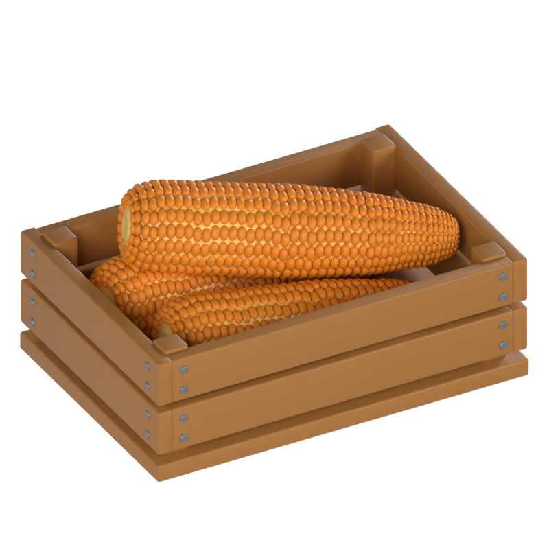 Corn 3D Model