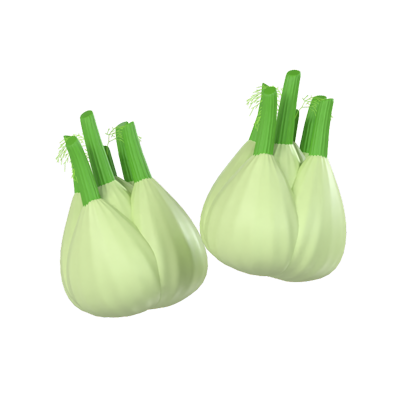 Fennel 3D Model 3D Graphic